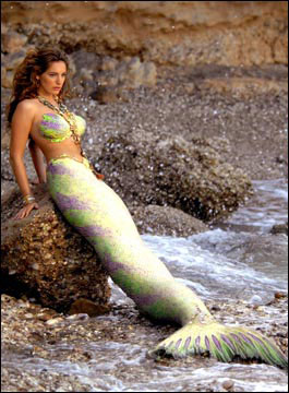 Multi-Color Mermaid - Mermaid Beach Model