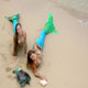 Maui Mermaids with Turtle