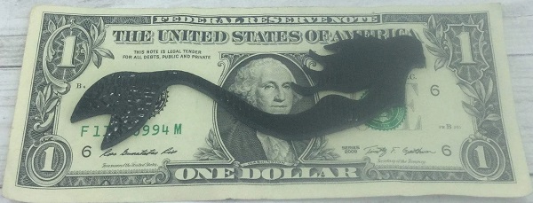 mermaid on a dollar - Mermaid Dollar