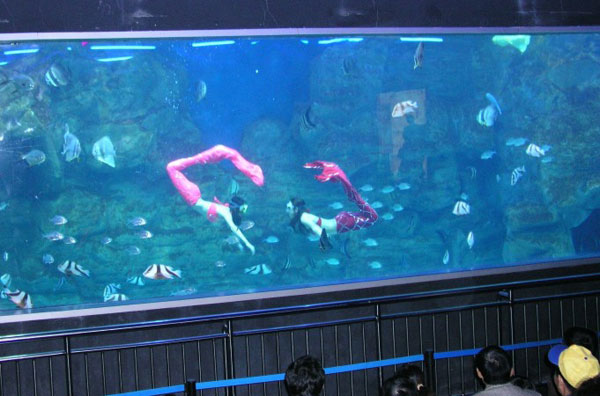 Aquarium Mermaid - Mermaid Model Under Water