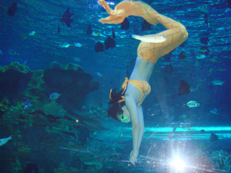 Bright Orange Mermaid Model - Mermaid Model Under Water