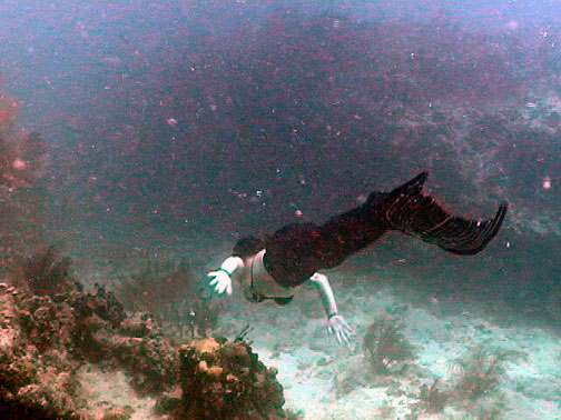 Camera Shy Mermaid - Mermaid Model Under Water