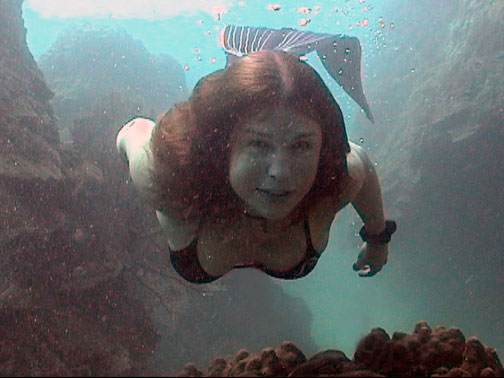 Curious Mermaid - Mermaid Model Under Water