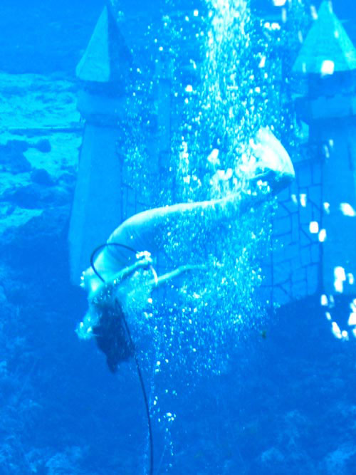 Diving Mermaid - Mermaid Model Under Water
