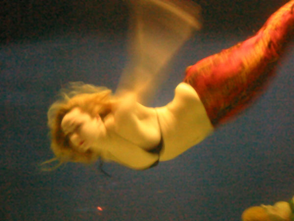 Flying Mermaid - Mermaid Model Under Water