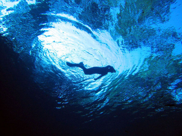 Glimpse of the Mermaid - Mermaid Model Under Water