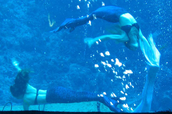 Mermaid Flip - Mermaid Model Under Water