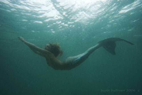 Mermaid Graceful Swim - Mermaid Model Under Water
