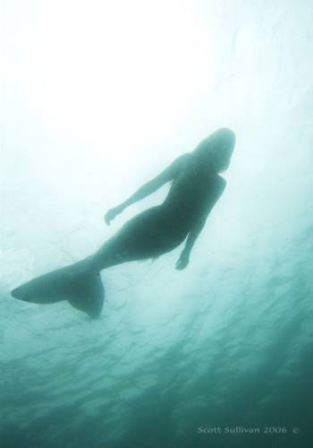 Mermaid Silhouette Undersea - Mermaid Model Under Water