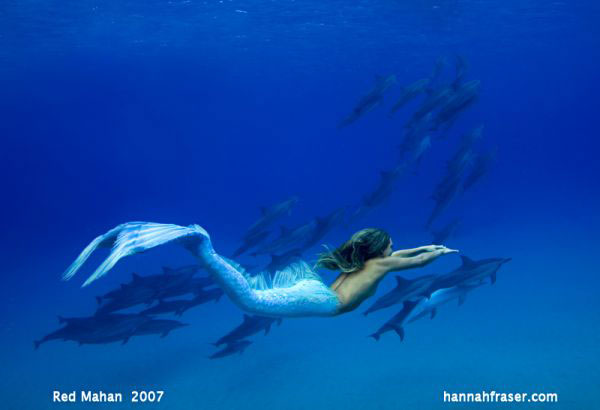 Mermaid and Dolphins - Mermaid Model Under Water