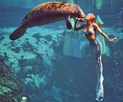 Mermaid and Manatee - Mermaid Model Under Water