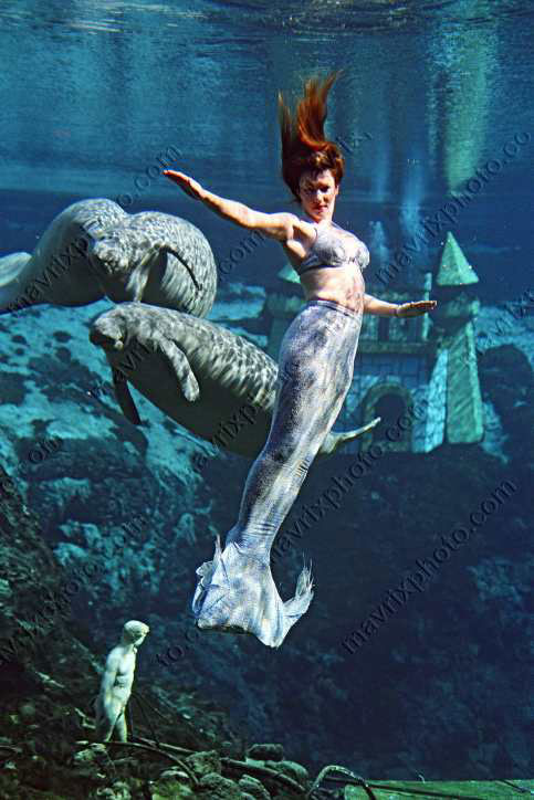 Mermaid and Manatees - Mermaid Model Under Water