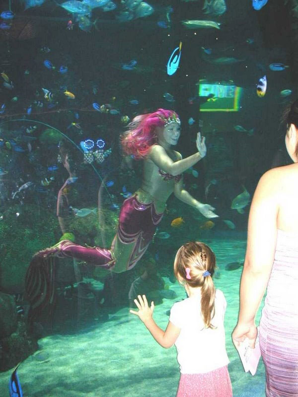 Mermaid at Silverton Casino - Mermaid Model Under Water