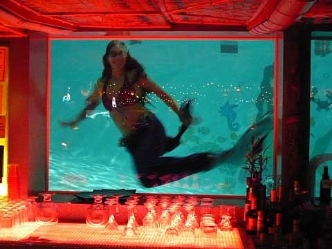 Mermaid behind Bar - Mermaid Model Under Water