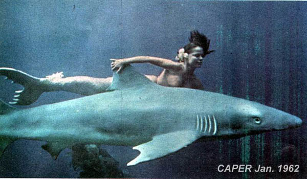 Mermaid with Big Shark - Mermaid Model Under Water