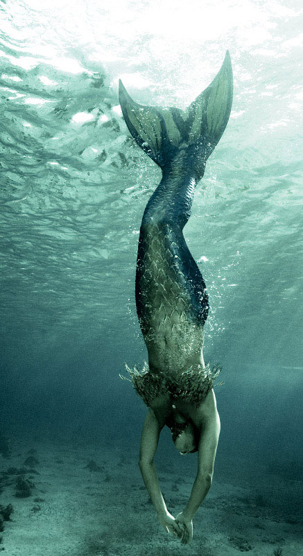 Model Mermaid Dive - Mermaid Model Under Water