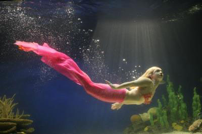 Pink Mermaid under Water - Mermaid Model Under Water
