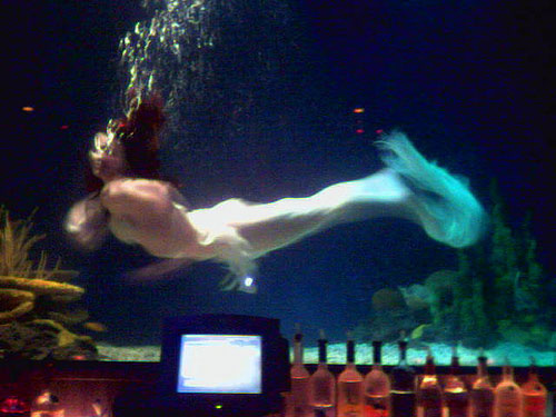 The Coral Room Mermaid - Mermaid Model Under Water