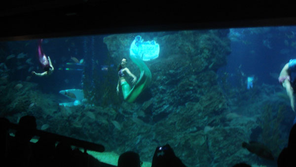 Three Mermaid Show - Mermaid Model Under Water