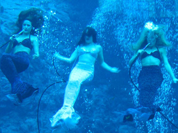 Three Mermaids - Mermaid Model Under Water