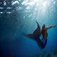 Dream Mermaid Under Water