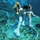 Four Mermaids Smiling