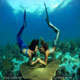 Two Mermaids Converge