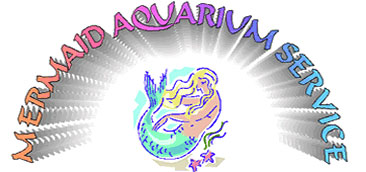 Mermaid Aquarium Service - Mermaid Sign