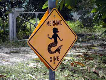 Mermaid Crossing sign - Mermaid Sign