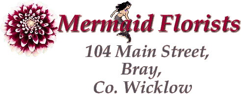 Mermaid Florists - Mermaid Sign