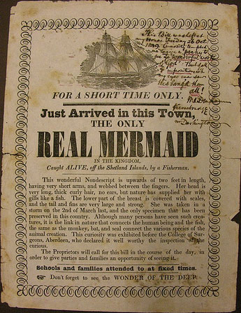 Mermaid Newspaper - Mermaid Sign