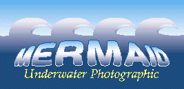 Mermaid Photography - Mermaid Sign