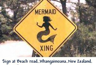 Mermaid Xing New Zealand - Mermaid Sign