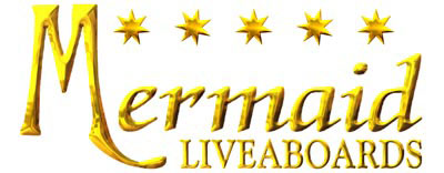 Mermaids Performing Live
