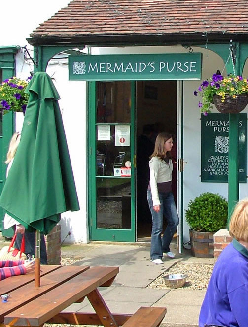 Mermaids Purse - Mermaid Sign