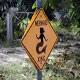 Mermaid Crossing sign