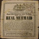 Mermaid Newspaper
