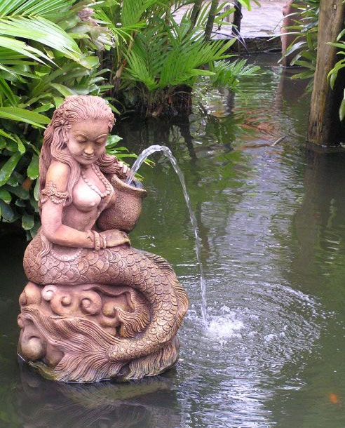Mermaid in Goldfish Pond