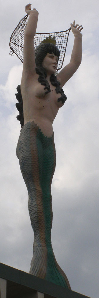 Mermaid with Big Net