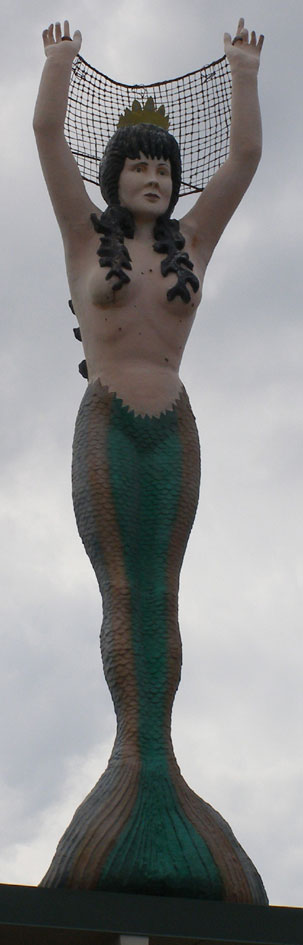 Mermaid with Net - Mermaid Cake