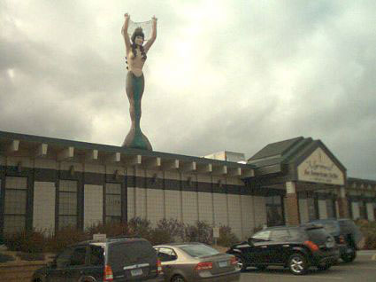 Mermaid with a Net - Mermaid Cake