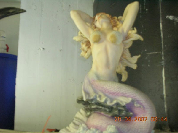 Mermaid with seashell bra