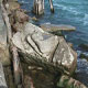 Lake Michigan Mermaid