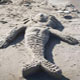 Baby Sand Mermaid